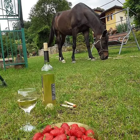 Alfa Daniel Guest house Balkanets (Lovech)