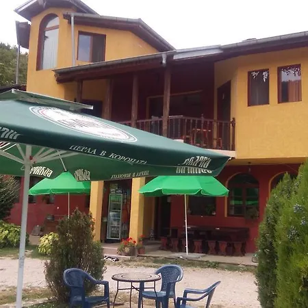 Guest house Alfa Daniel 2*