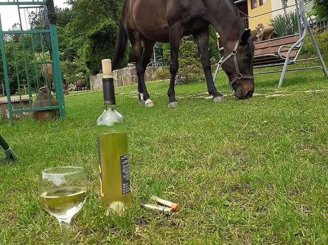 Alfa Daniel Pensión Balkanets (Lovech)