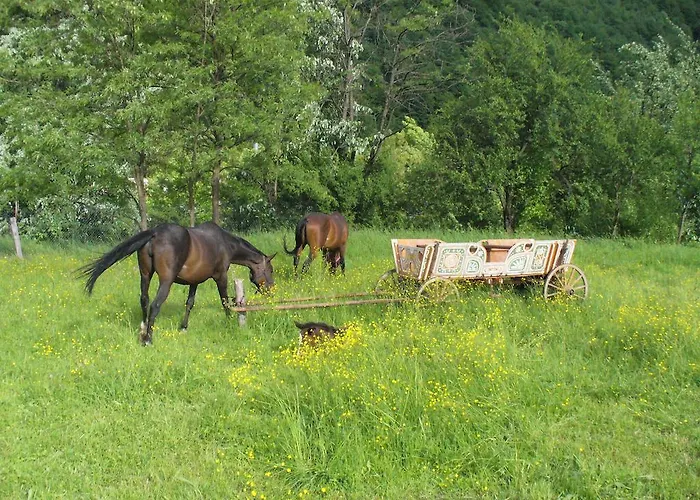 Pensión Alfa Daniel 2*