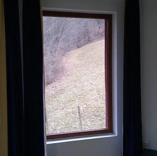 Alfa Daniel Pensión